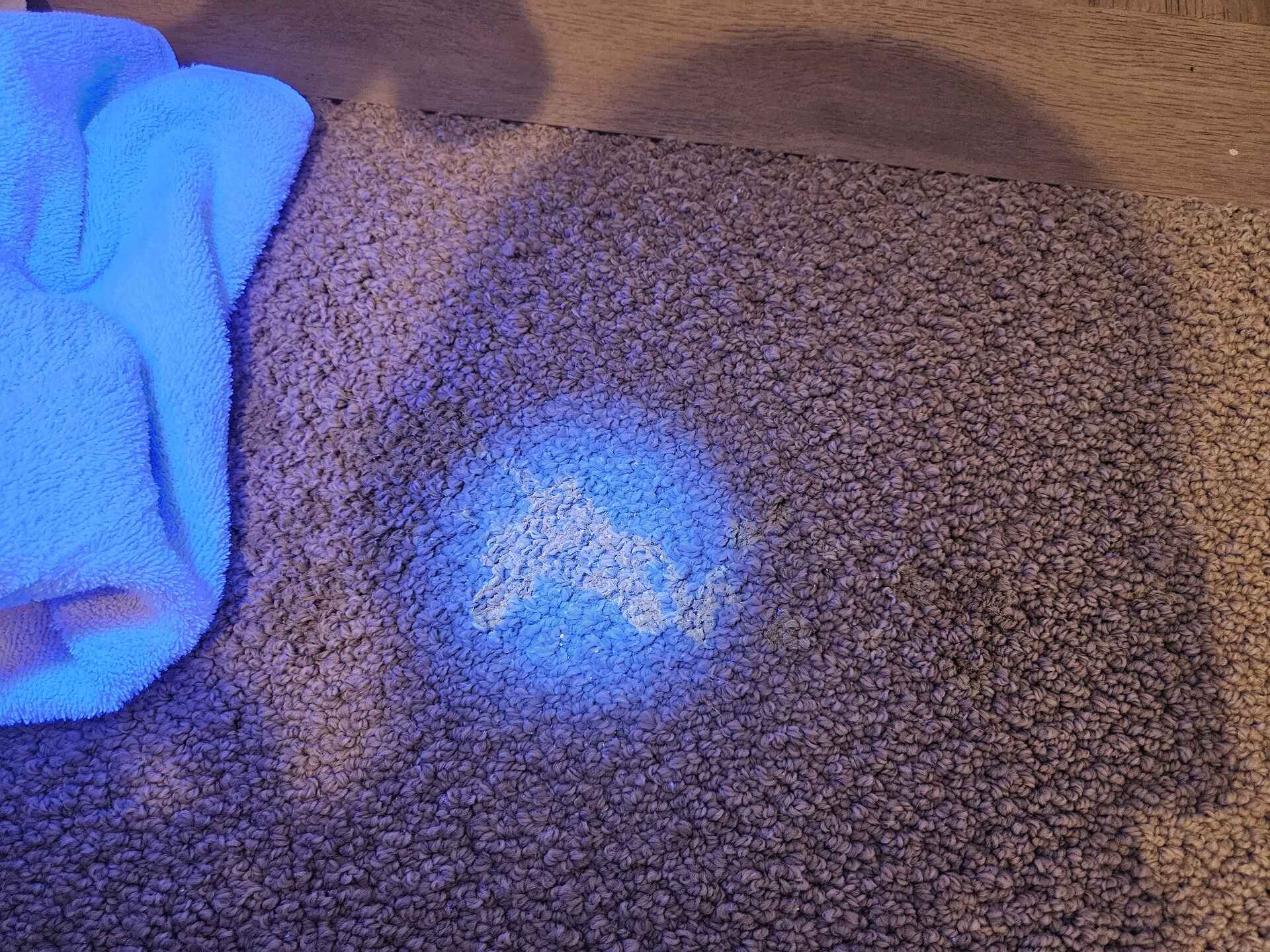 Carpet inspector
